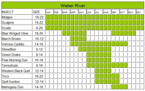 Hatch Chart for the Western U.S. Region  The North American Fly Fishing  Forum - sponsored by Thomas Turner