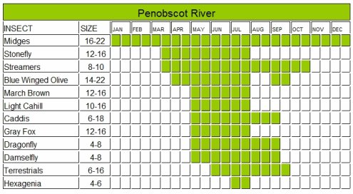 McKenzie River Hatch Chart